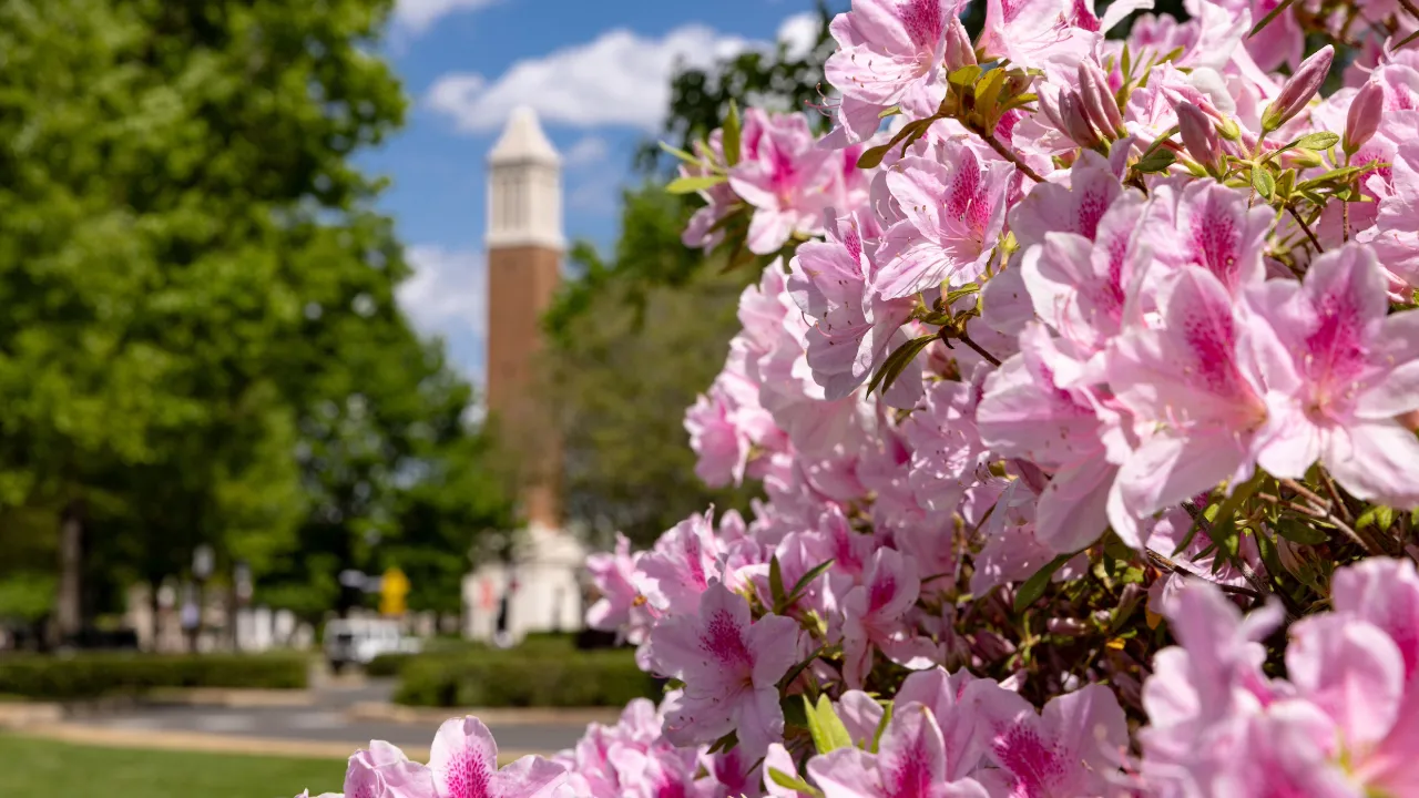 Flowers with Denny Chimes in the background